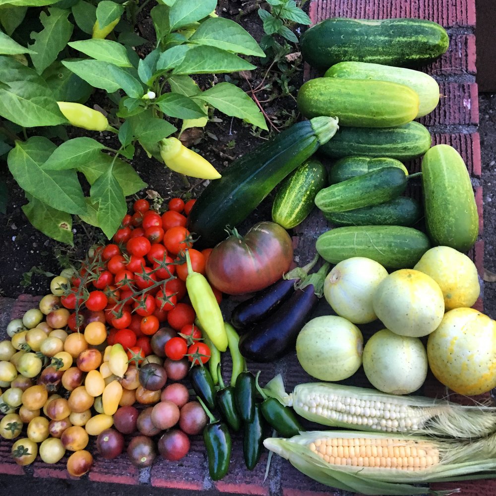 veggies.JPG